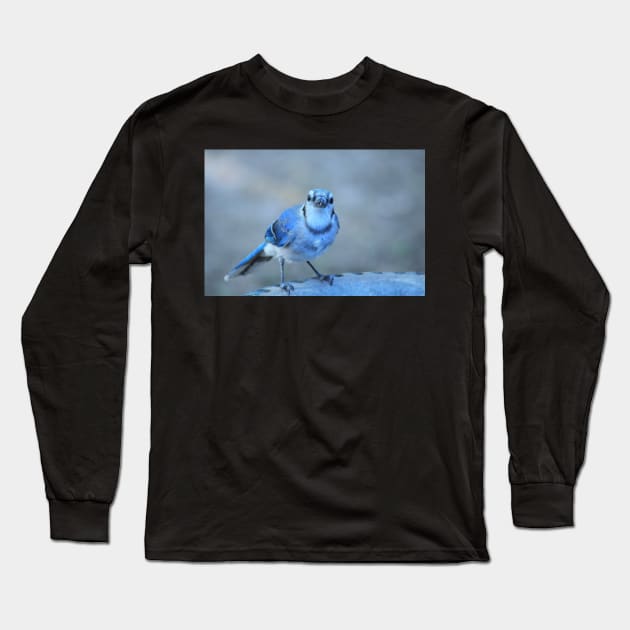 Well, hello..! Long Sleeve T-Shirt by LaurieMinor